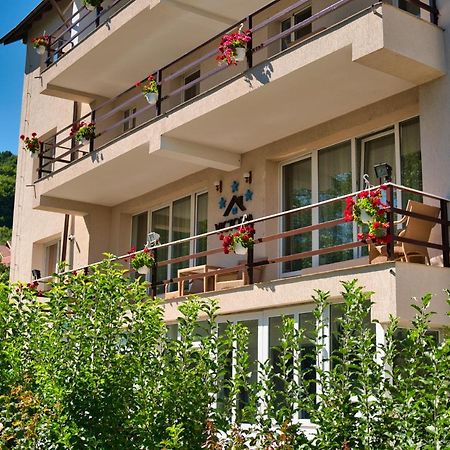 Vila Victoria Рымнику-Вылча Экстерьер фото