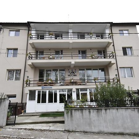 Vila Victoria Рымнику-Вылча Экстерьер фото