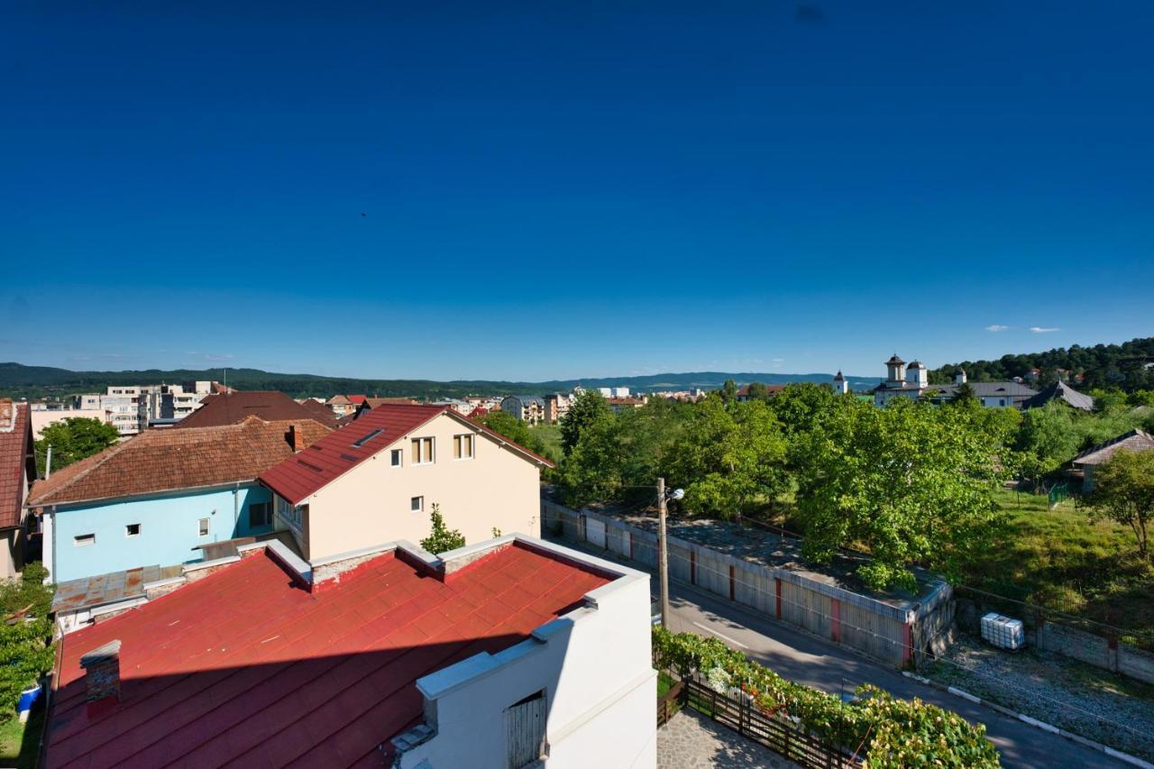 Vila Victoria Рымнику-Вылча Экстерьер фото