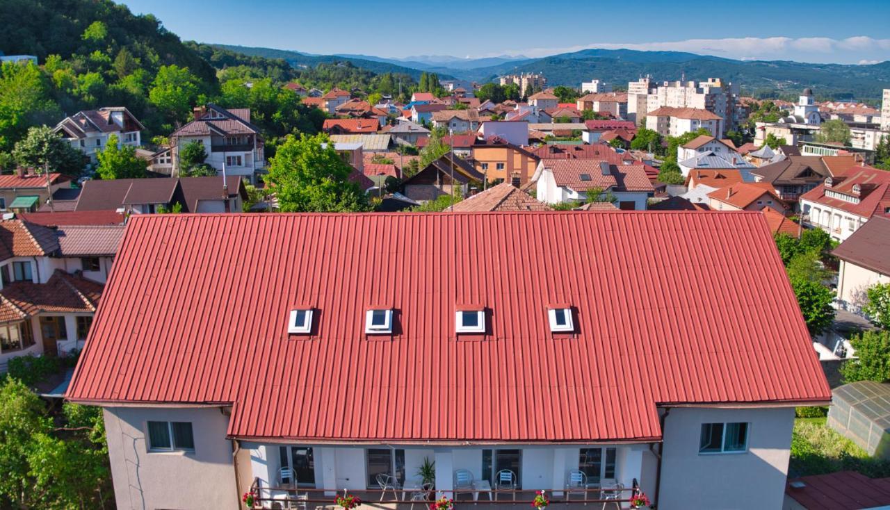 Vila Victoria Рымнику-Вылча Экстерьер фото
