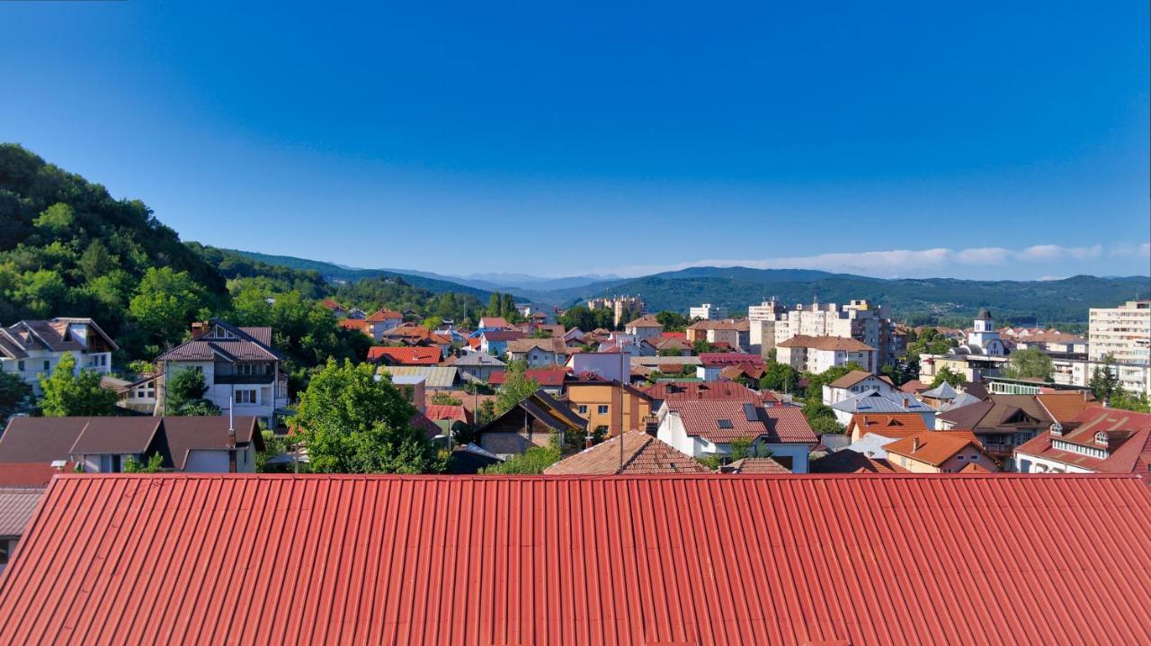 Vila Victoria Рымнику-Вылча Экстерьер фото