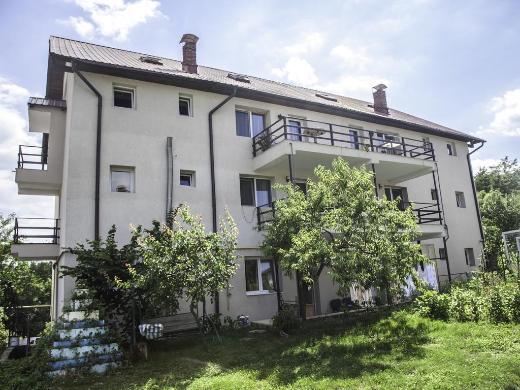 Vila Victoria Рымнику-Вылча Экстерьер фото