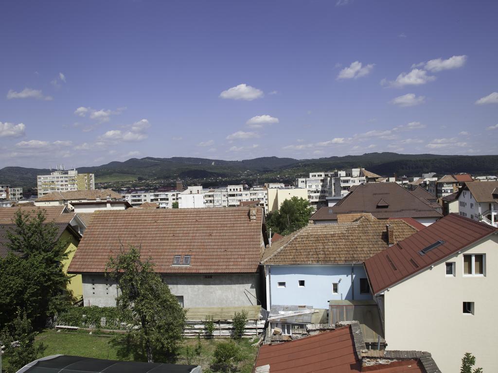 Vila Victoria Рымнику-Вылча Экстерьер фото